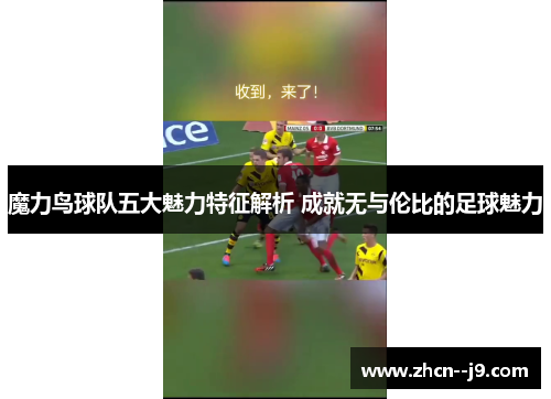 魔力鸟球队五大魅力特征解析 成就无与伦比的足球魅力
